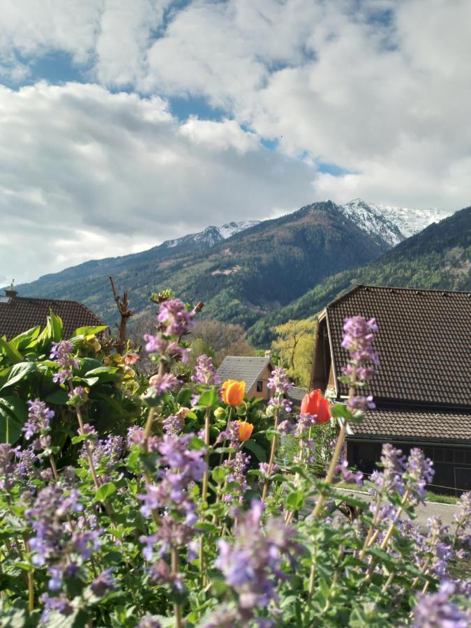 Ferienhaus Herrenschmiede Obervellach Extérieur photo