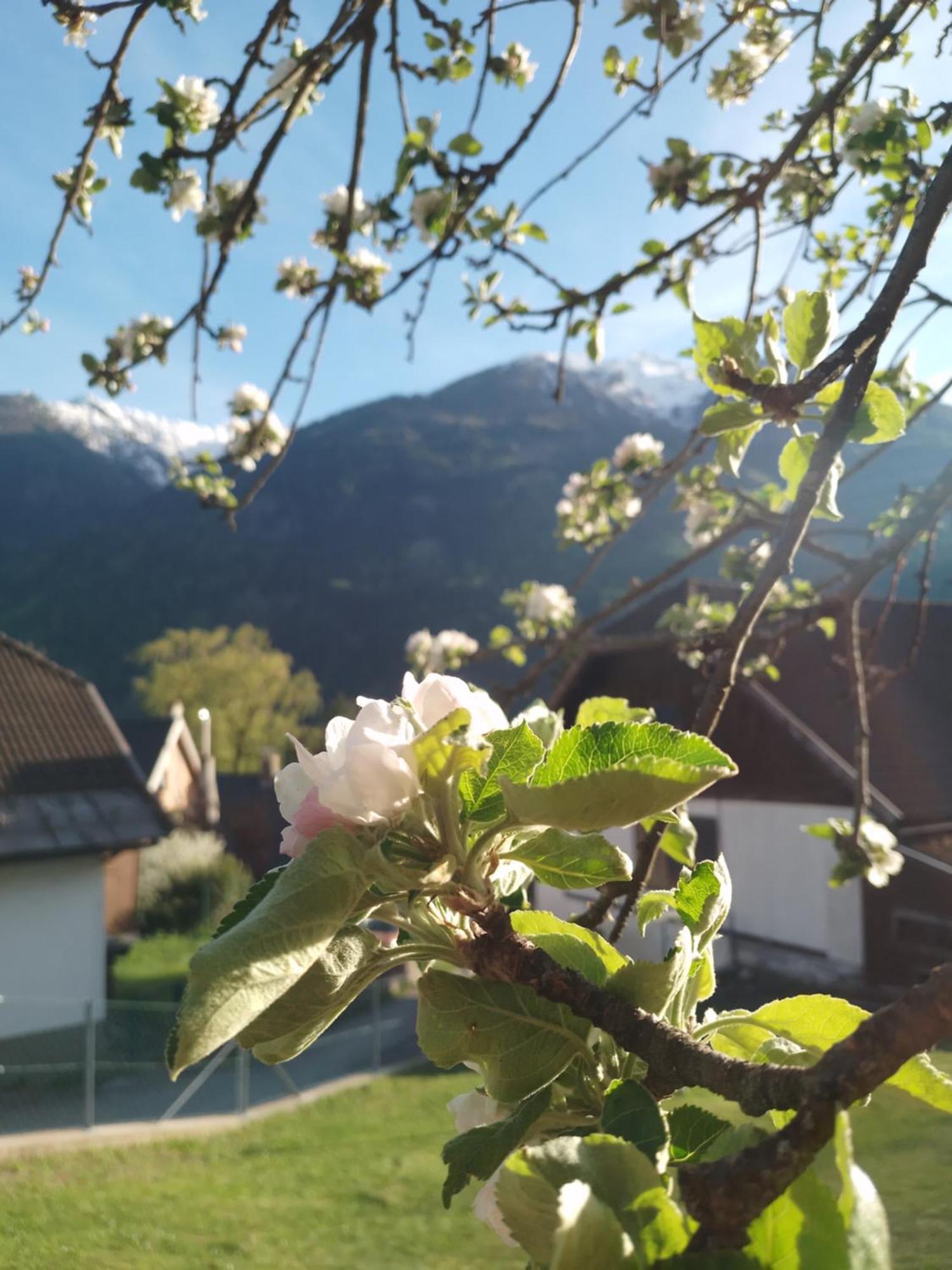 Ferienhaus Herrenschmiede Obervellach Extérieur photo