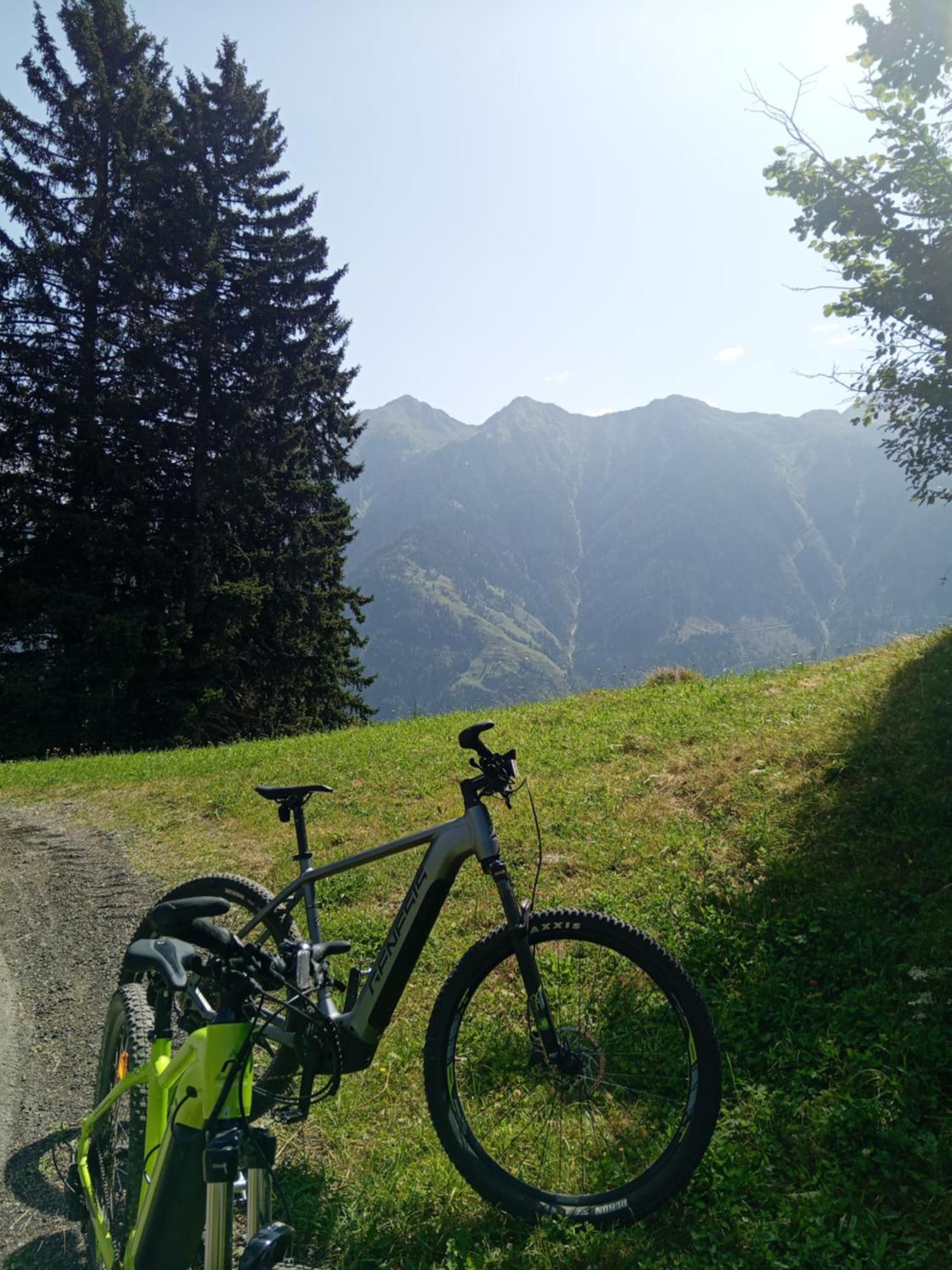 Ferienhaus Herrenschmiede Obervellach Extérieur photo